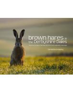 Brown Hares in the Derbyshire Dales