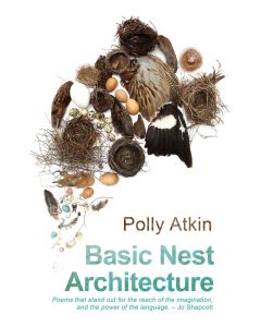Basic Nest Achitecture