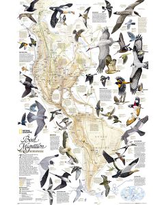 Bird Migration Western Hemisphere Map Tubed