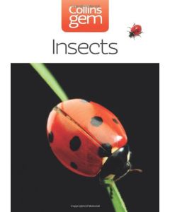 Insects Collins Gem