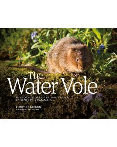 The Water Vole