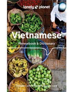 Vietnamese Phraseboook and Dictionary