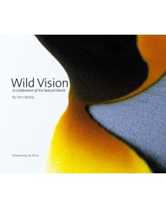 Wild Vision  John Beatty